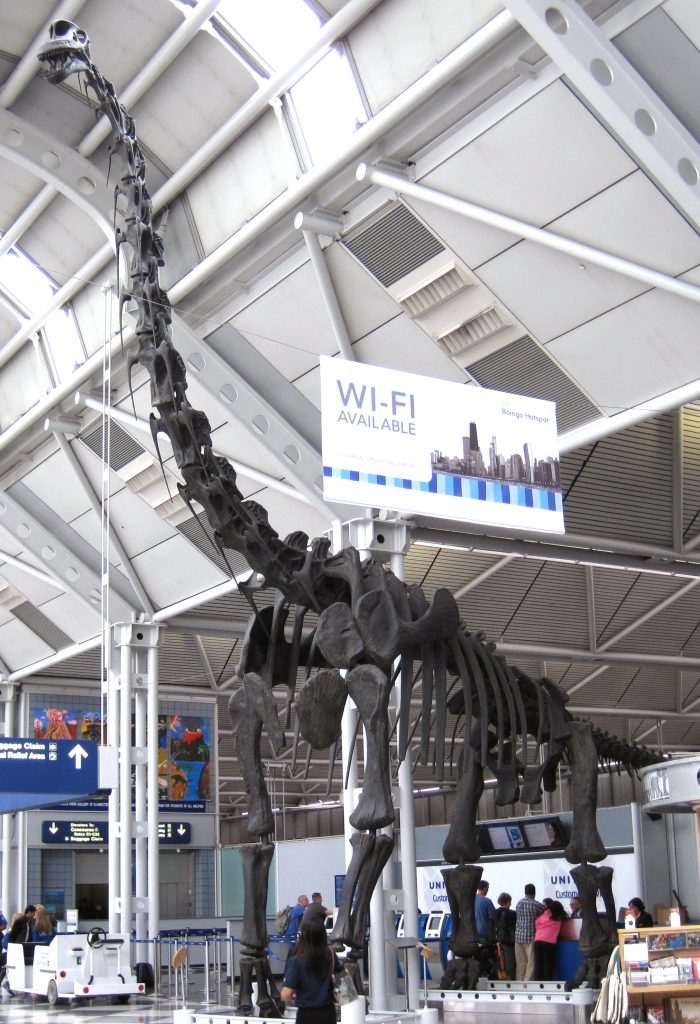 Visual for Brachiosaurus: The Giant That Reached the Treetops