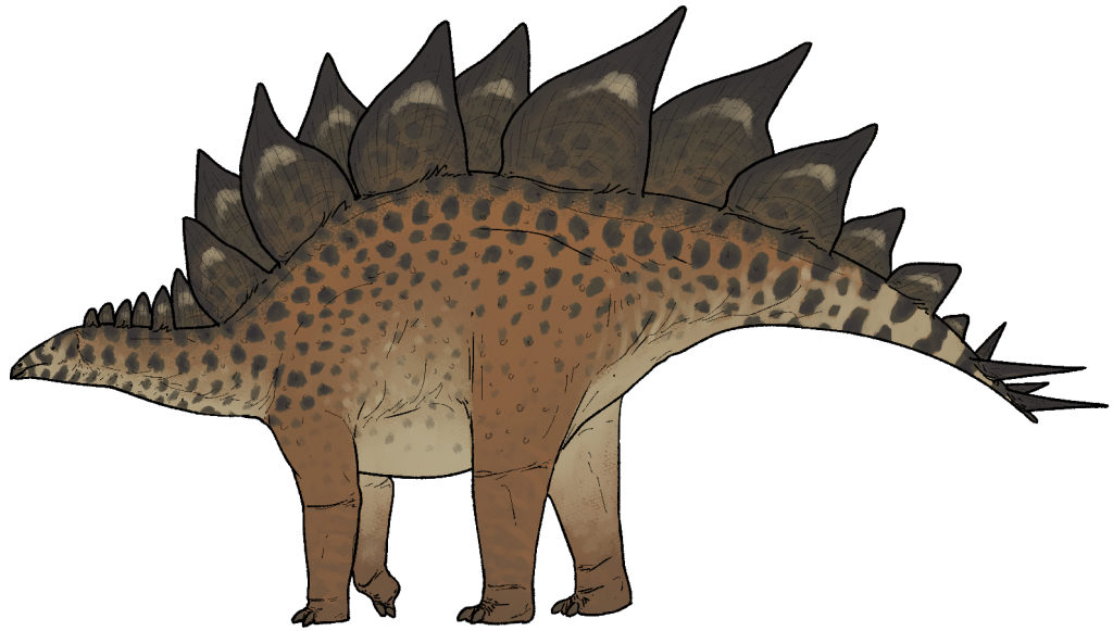 Visual for Stegosaurus: Why It Had Back Plates and a Spiked Tail
