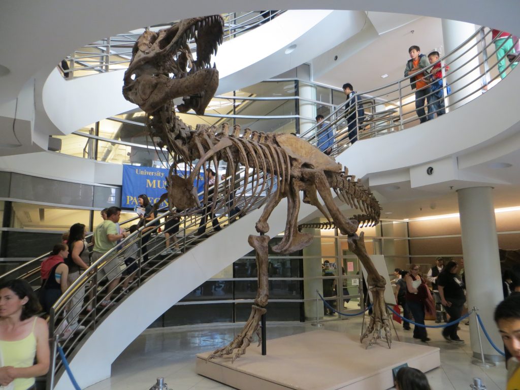 Visual for How Big Was a T. rex? Size, Weight and Height Compared