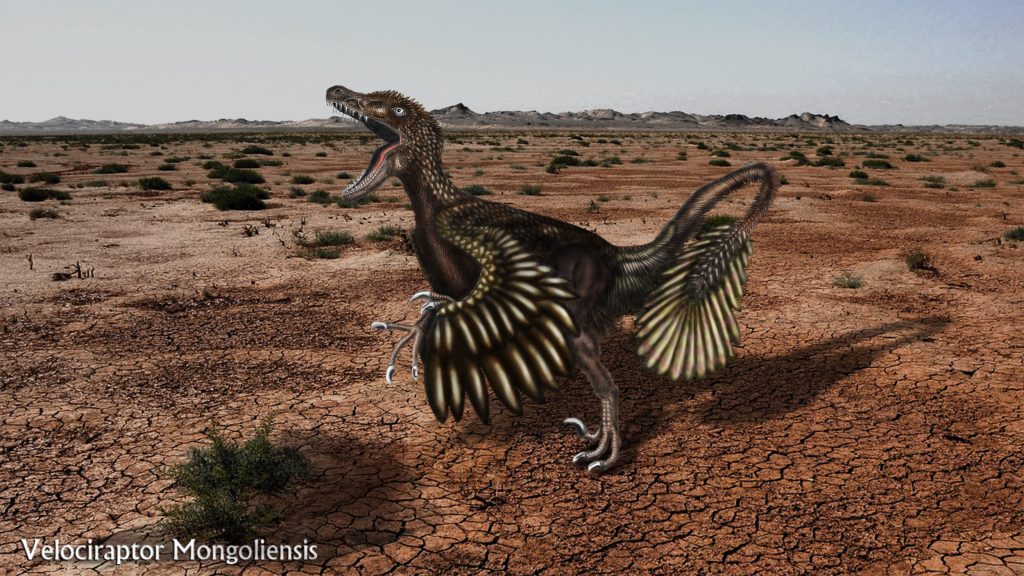 Visual for Velociraptor: The Truth Behind the Movie Monster