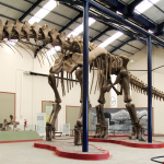 Argentinosaurus huinculensis