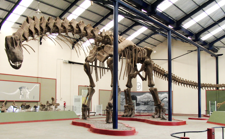 Computer-modeled and mounted skeletal reconstruction of the colossal titanosaur Argentinosaurus huinculensis at the Museo Municipal Carmen Funes.